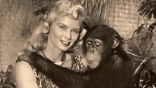 Vintage Taboo&comma; Pussy & Pooch