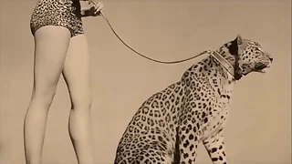 Dark Lantern Sport presents 'Vintage Bat Girls'