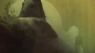 My Secret Life&comma; The World's Greatest Erotic Story&comma; Vintage Silent Movies