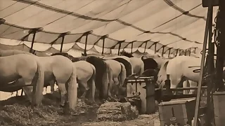 Dark Lantern Entertainment Presents 'The Dragonfly' Scene 3 Pt&period;1